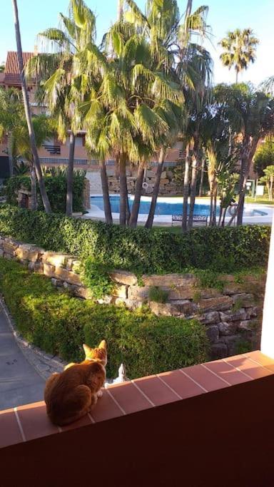 Planta Baja Cerca De La Playa Casares Costa Daire Dış mekan fotoğraf